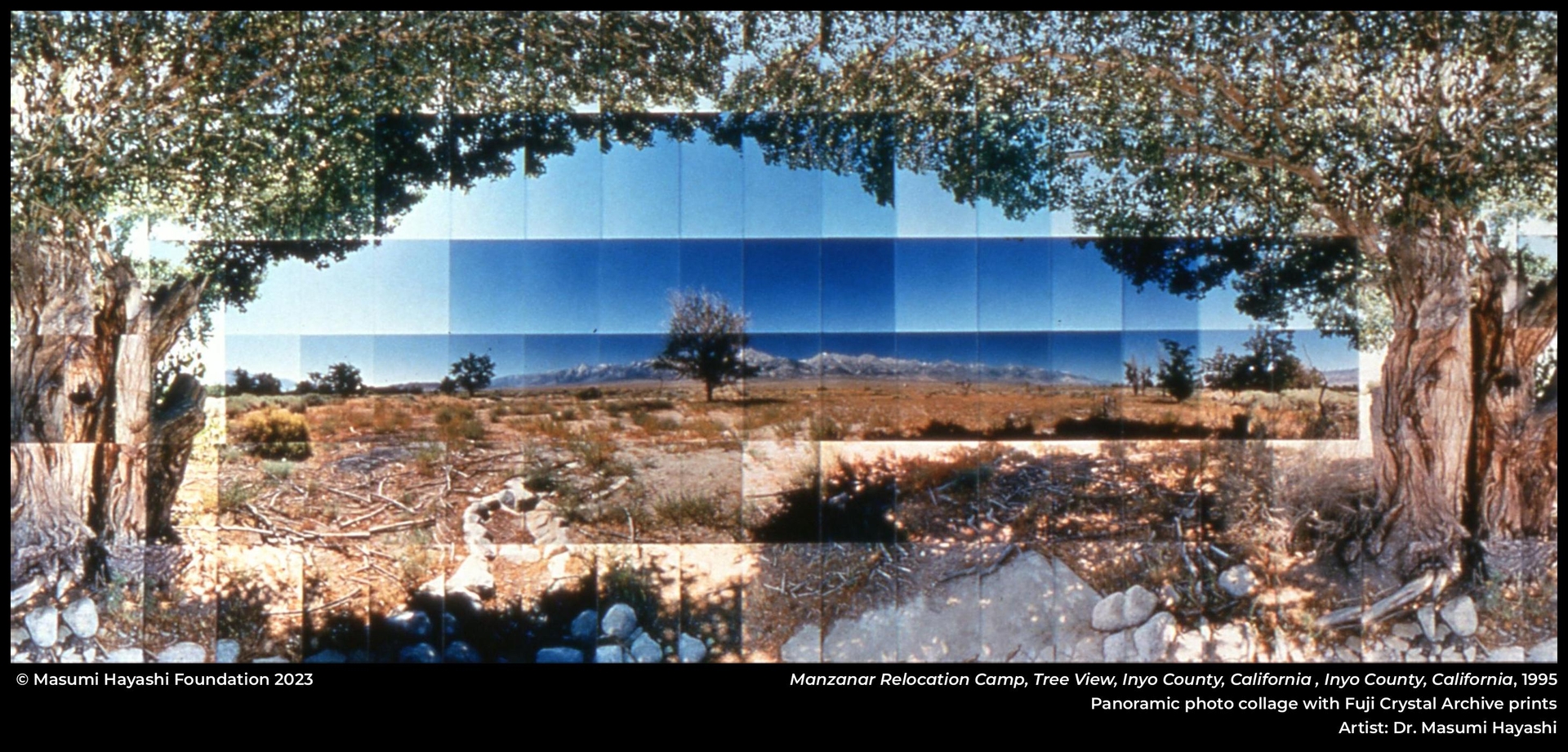 Manzanar Relocation Camp, Tree View, Inyo County, California , Inyo County, California