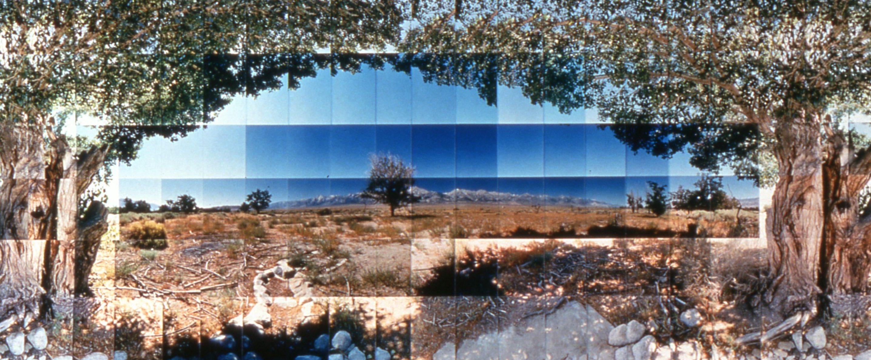 Picture of Manzanar Relocation Camp, Tree View, Inyo, California, by Dr. Masumi Hayashi